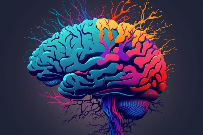 Epilepsy ( صرع)